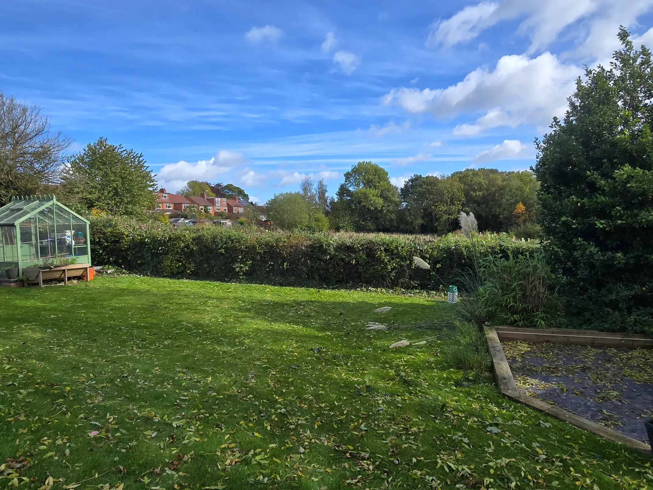 Professional garden maintenance showing clean borders and lawn edges