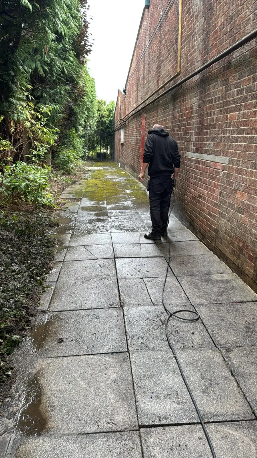 Regular garden maintenance keeping an outdoor space tidy and healthy