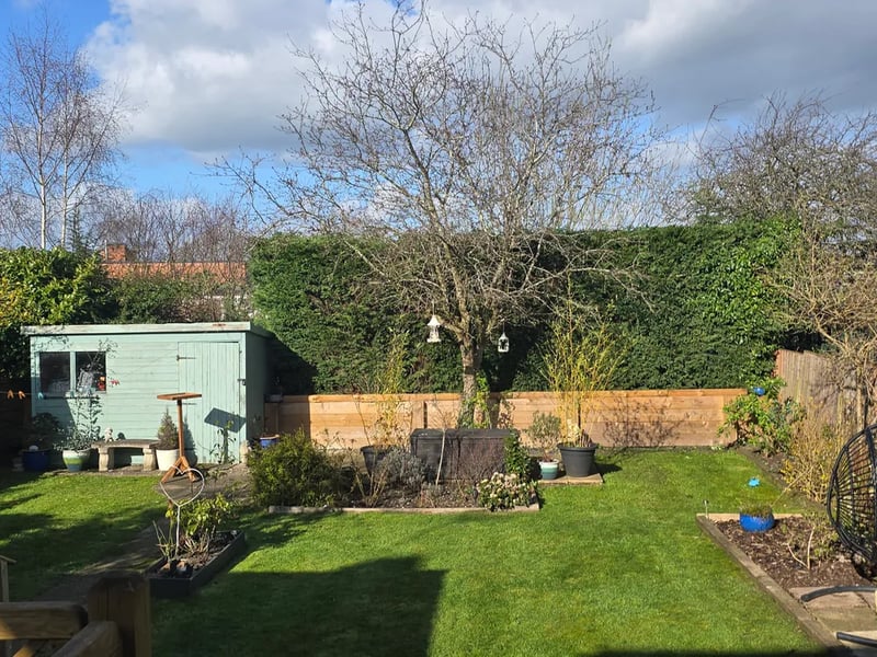 Neat hedgerow after professional hedge trimming in Derbyshire