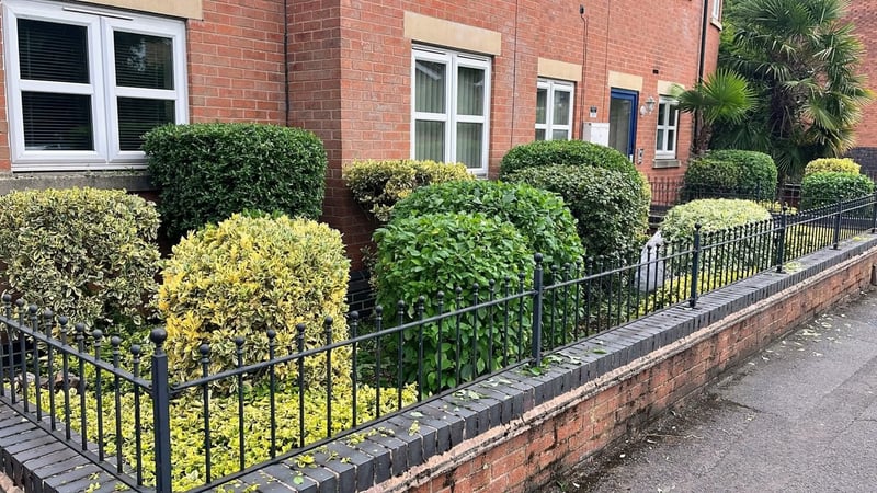 Neatly trimmed hedge alongside a Derby property